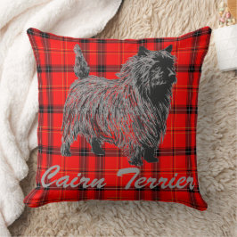 Cairn Terrier auf Kariert Kissen