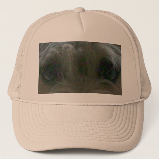 Cairn Terrier Augen Truckerkappe (Vorderseite)