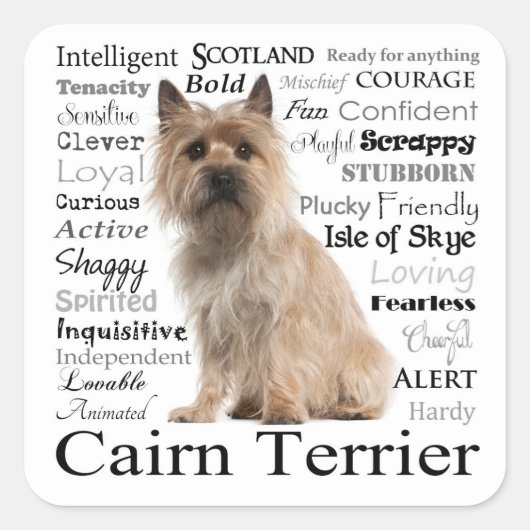 Cairn Terrier Breed Tracks Stickers (Vorderseite)