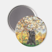 Cairn Terrier (Brindle 21) - Frühjahr Magnet (Vorderseite/Rückseite)