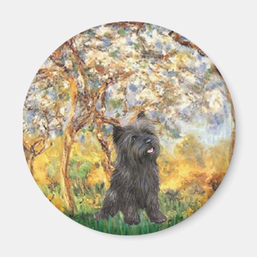 Cairn Terrier (Brindle 21) - Frühjahr Magnet (Vorne)