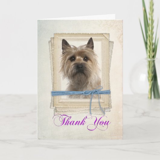 Cairn Terrier Danke-Card Dankeskarte (Vorderseite)
