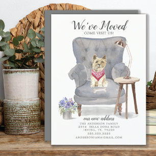 Cairn Terrier Dog   Ankündigung der Beförderung