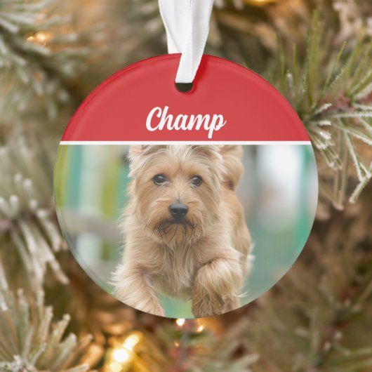 Cairn Terrier Dog Holiday Foto Weihnachten Ornament (Baum)