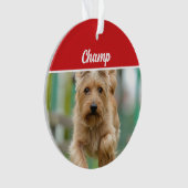 Cairn Terrier Dog Holiday Foto Weihnachten Ornament (Vorderseite)