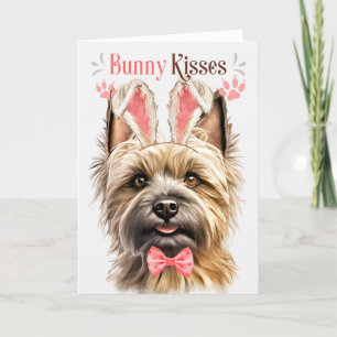 Cairn Terrier Dog im sonnigen Ohr für Ostern Feiertagskarte