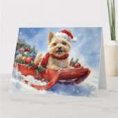 Cairn Terrier Dog in Sledge Let it Schnee Weihnach Karte (Vorderseite)
