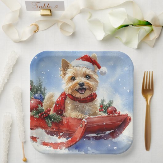 Cairn Terrier Dog in Sledge Let it Schnee Weihnach Pappteller (Hochzeit)