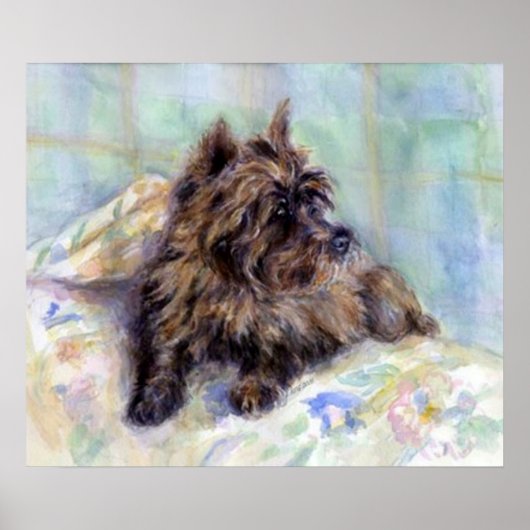 Cairn Terrier Dog Portrait Poster Print (Vorne)