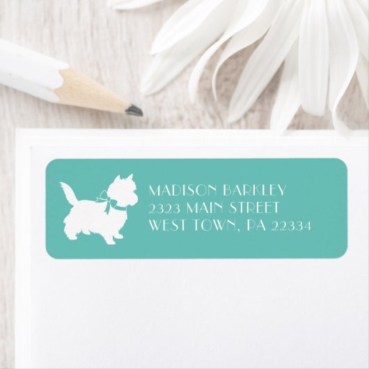 Cairn Terrier Dog Puppy (Insitu)