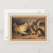 Cairn Terrier Dog und ihre Welpen Postkarte (Vorne/Hinten)