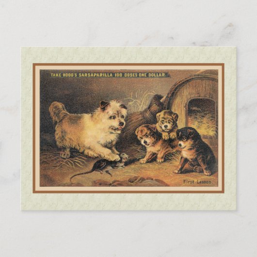 Cairn Terrier Dog und ihre Welpen Postkarte (Vorderseite)