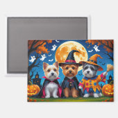Cairn Terrier Dogs Pumpkin Halloween Funny Magnet (Vorderseite/Rückseite)