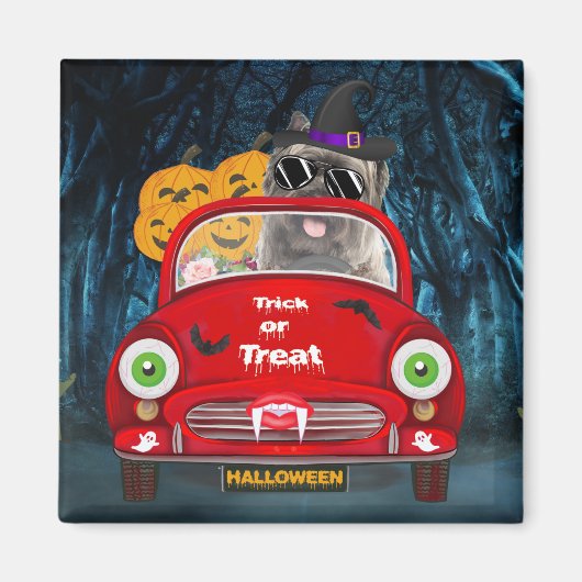 Cairn Terrier Driving Car Beängstigend Halloween Magnet (Vorne)