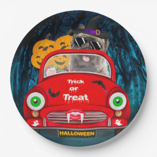Cairn Terrier Driving Car Beängstigend Halloween Pappteller