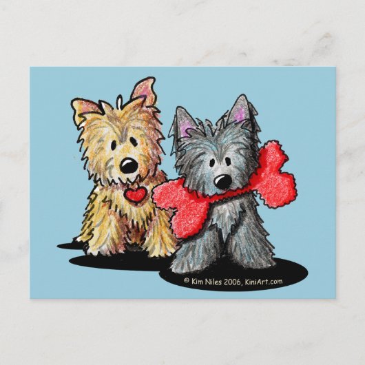 Cairn Terrier Duo Postkarte (Vorderseite)
