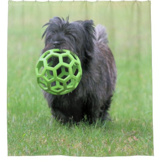 Cairn Terrier Duschvorhang (Vorderseite)