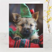Cairn Terrier Elf Puppy Christmas Card Karte (Gelbe Blume)