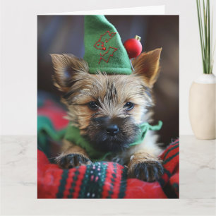 Cairn Terrier Elf Puppy Christmas Card Karte