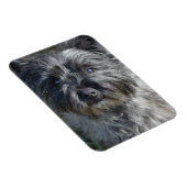 Cairn Terrier Face Magnet (Rechte Seite)