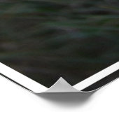 Cairn Terrier Face Poster (Ecke)