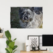 Cairn Terrier Face Poster (Heimbüro)