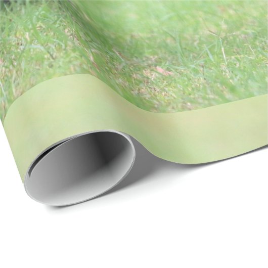 Cairn Terrier Geschenkpapier (Rolleneckpunkt)