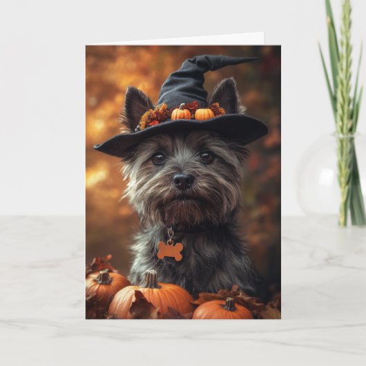 Cairn Terrier Halloween Feiertagskarte (Vorderseite)