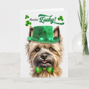 Cairn Terrier Hund fühlt sich am St. Patrick's Day Feiertagskarte