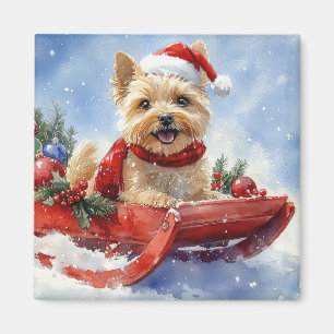 Cairn Terrier Hund im Schlitten Lass es schneien W Magnet