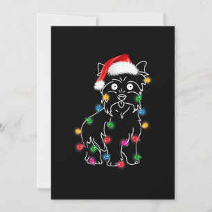 Cairn Terrier Hund Leuchtet Weihnachten Passende F