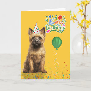 Cairn Terrier Hund Partyhut Gelb Geburtstag Karte