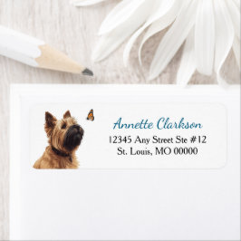 Cairn Terrier Hund Schmetterling Wunder