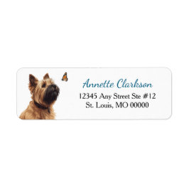 Cairn Terrier Hund Schmetterling Wunder