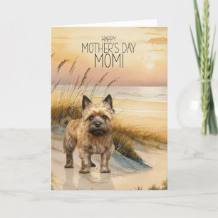 Cairn Terrier Hund Sonnenuntergang Strand Mutterta Feiertagskarte