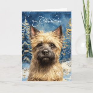 Cairn Terrier Hund Wald Weihnachten