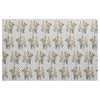 Cairn Terrier Hundefutter Stoff