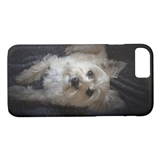 Cairn-Terrier-Hundniedlicher iPhone Fall Case-Mate iPhone Hülle (Rückseite (Horizontal))