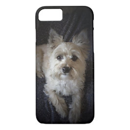 Cairn-Terrier-Hundniedlicher iPhone Fall Case-Mate iPhone Hülle