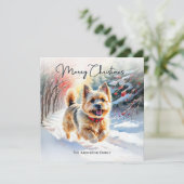 Cairn Terrier im Schnee Winter Frohe Weihnachten (Stehend Vorderseite)