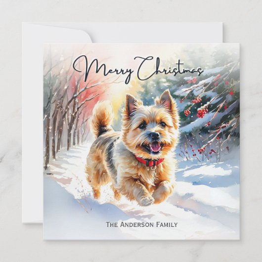 Cairn Terrier im Schnee Winter Frohe Weihnachten (Vorderseite)