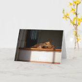 Cairn Terrier In The Sun Blank Greeting Card Karte (Gelbe Blume)