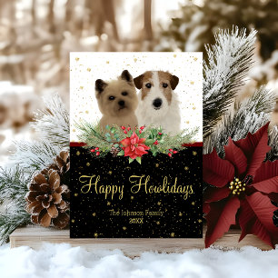 Cairn Terrier & Jack Russel Hund Frohe Weihnachten