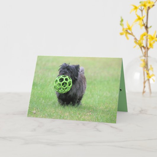 Cairn Terrier Karte (Gelbe Blume)