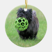 Cairn Terrier Keramik Ornament (Vorne)