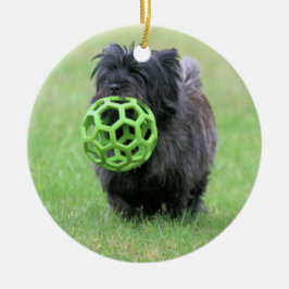Cairn Terrier Keramik Ornament