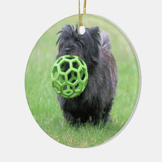 Cairn Terrier Keramik Ornament (Links)