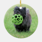 Cairn Terrier Keramik Ornament (Hinten)