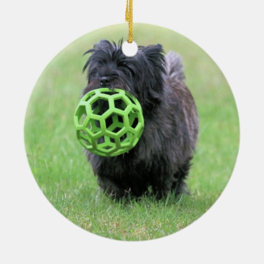 Cairn Terrier Keramik Ornament (Hinten)