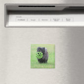 Cairn Terrier Magnet (In Situ (Geschirrspüler))